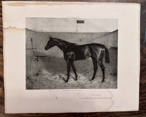 Antique 1901 horse racing - antique,