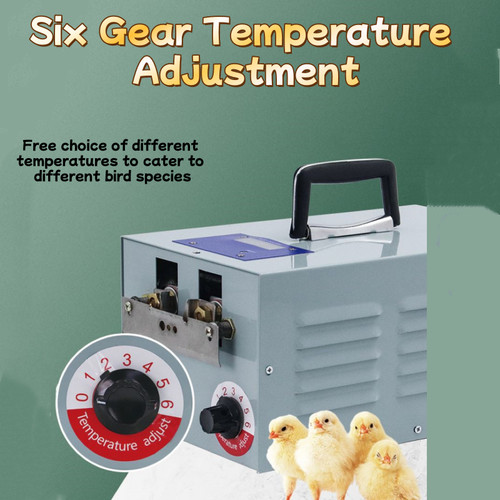 Automatic electric chicken - automatic,