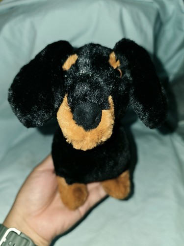 Freddie sausage dog bnwt - freddie,