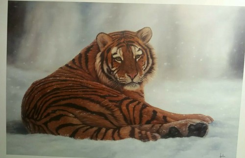 Siberian snow jonathan truss - siberian,