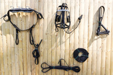 Miniature Big Horse Black