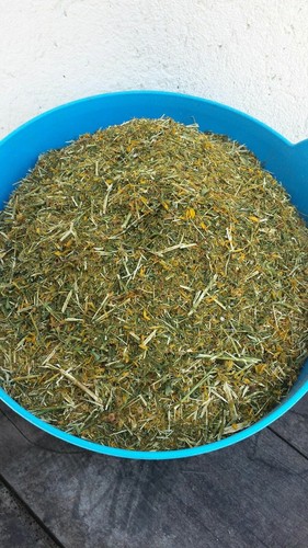 100 johns wort herb - 100%,
