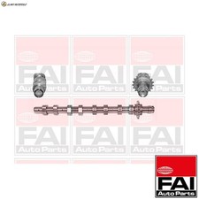 CAMSHAFT C266 FOR 8HY 1.4L