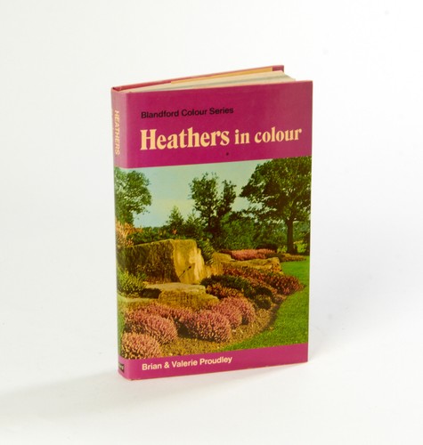 Heathers color brian - heathers, in