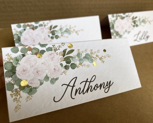 Eucalyptus blush pink roses - 6x,