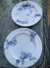 Royal Worcester English Bone China Blue White Plates x 2 18cms 1B