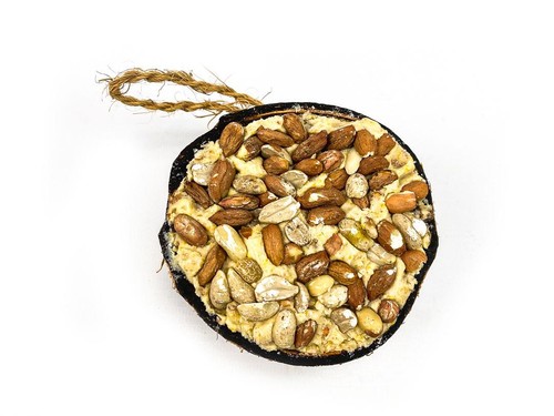 Suet coconut halves - suet,