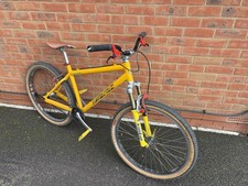 Mk1 Santa Cruz Chameleon Original Vintage