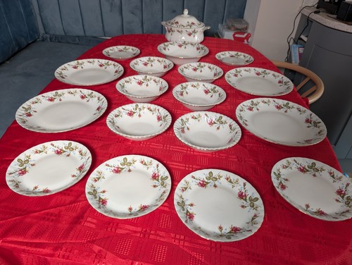 Chodziez moss roses dinner - moss,