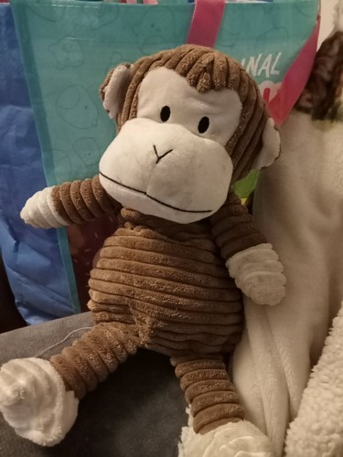 Monkey teddy s - monkey, teddy's