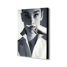 Audrey Hepburn Moustache -