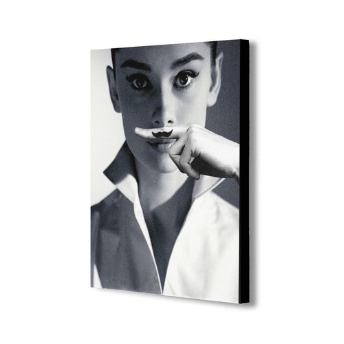 Audrey hepburn moustache - moustache,