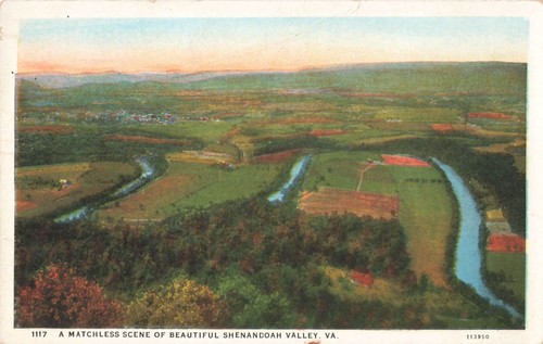 Postcard matchless scene of - a,