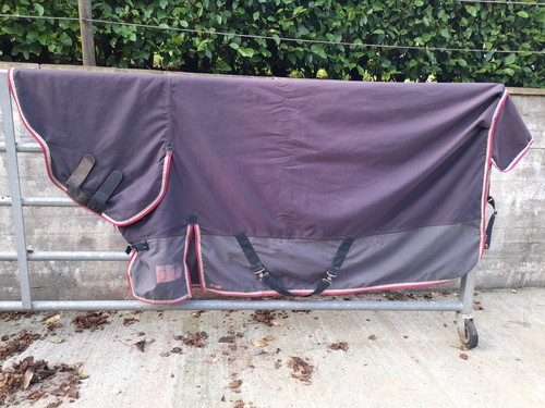 Medium weight combo shires - medium,