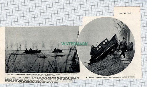 C4601 weasel amphibious - c4601),