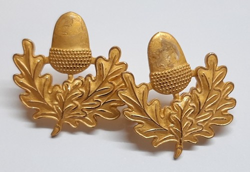 Cheshire regiment collar dogs - cheshire,