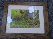 Tina Holley Woodland Clearing