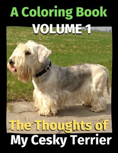 The thoughts cesky - my,