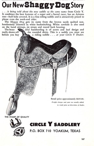 Shaggy dog saddle circle - shaggy, y