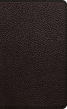 ESV Pocket Bible (Leather /