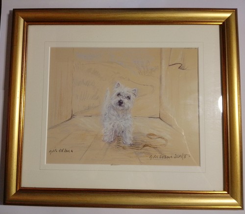 Framed west highland terrier - framed,