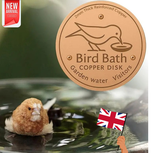 Bird bath copper disk for - disk,