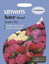 Unwins Pictorial Packet - Flower - Aster Dwarf Queen Mix - 150 Seeds