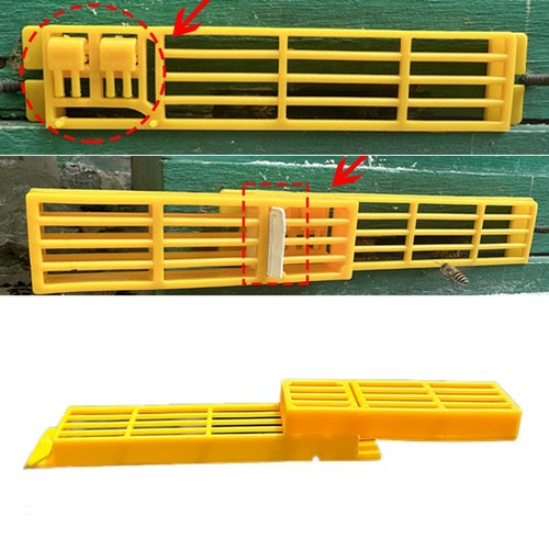 Automatic bee divider portable - automatic,
