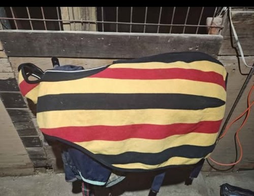 Rambo horseware whitney - rambo,