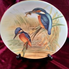 Coalport John Gould's Birds Of Great Britain The Kingfisher Plate 8"