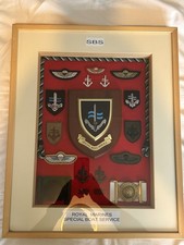 Special Boat Squadron (SBS)