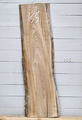 Elm live edge timber - timber, x