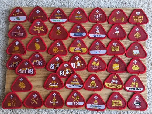 Cub scout proficiency - cub,