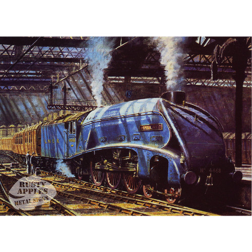 The iconic mallard - iconic,