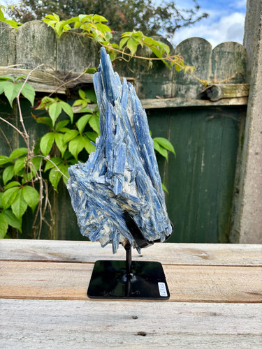 Large blue kyanite crystal - large,