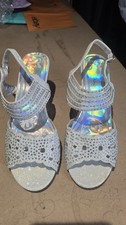stunning silver glitter mesh