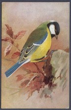 Great Tit by Roland Green - R.S. Art Press bird postcard