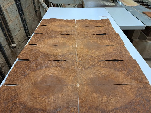 Burr brown oak wood veneer - burr,