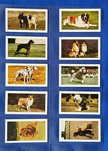 Hornimans tea cards - cards, dogs