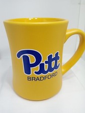 UNIVERSITY OF PITTSBURGH AT