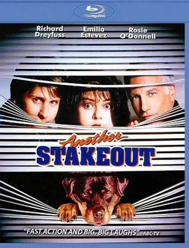 Another stakeout - stakeout, ray)