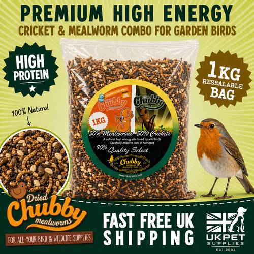 1kg wild bird - food, seed