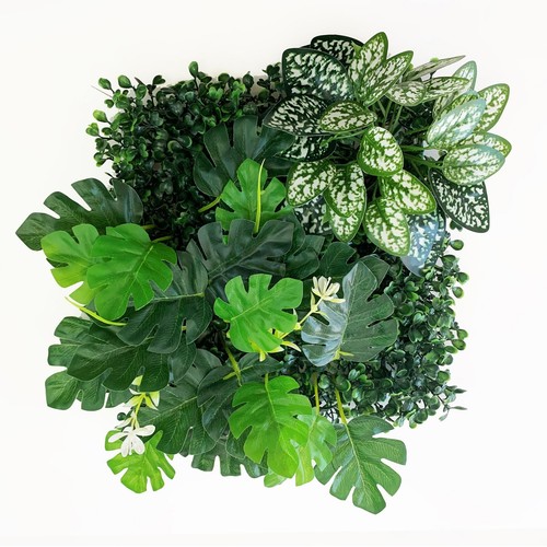 Betta terra monstera living - betta,
