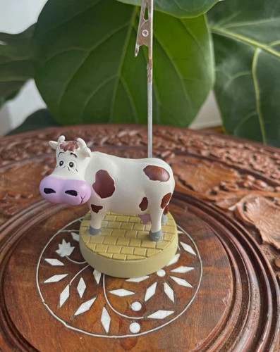Cow cattle novelty photo - cow,