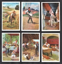 Wheat Farming Flour & Bread Making German Hoyer Card Set 1920s Mill Oven