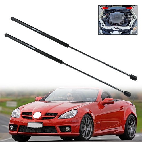 Bonnet hood gas support - hood, struts