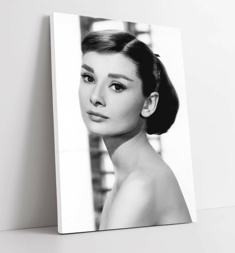 Audrey hepburn canvas wall - audrey,