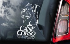 CANE CORSO Car Sticker,  Dog