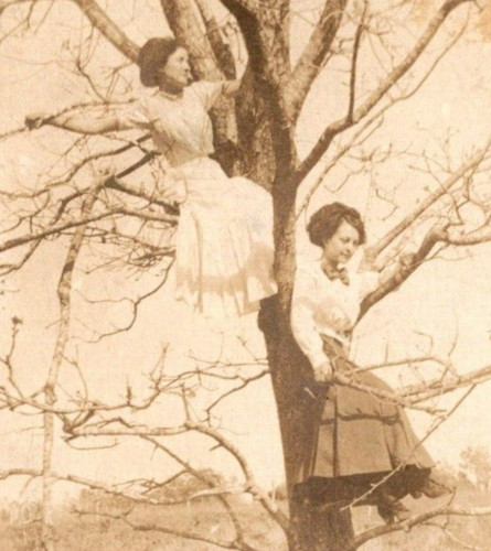 1911 rppc beautiful ladies - rppc,