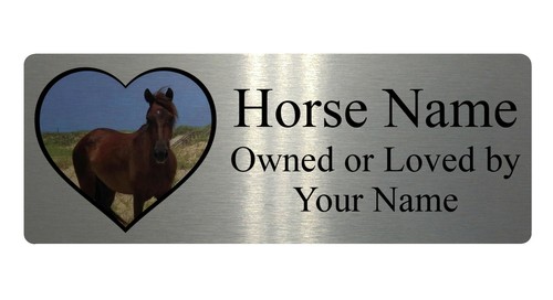Personalised horse name photo - horse,